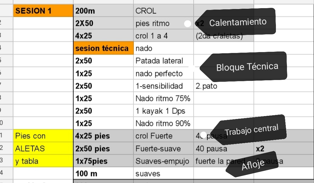 Cómo leer una sesión de natación