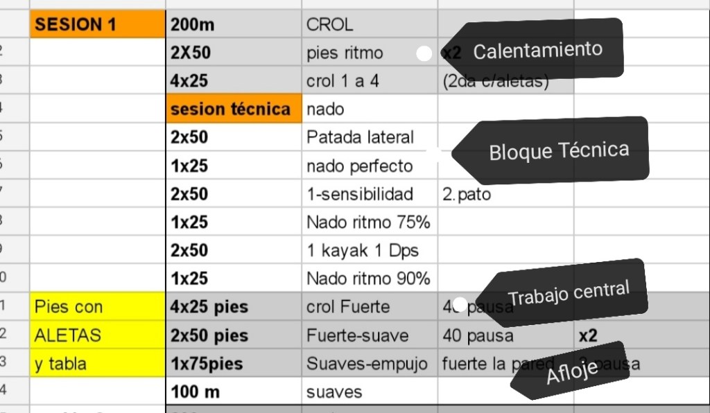 Cómo leer una sesión de&nbsp;natación